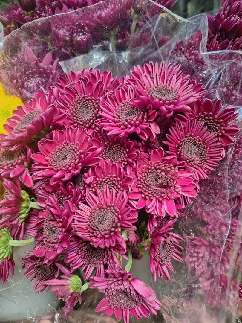 Express Flowers - Image 1