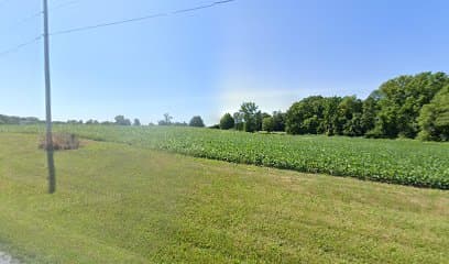 Bloom On Flower Farm - Image 1