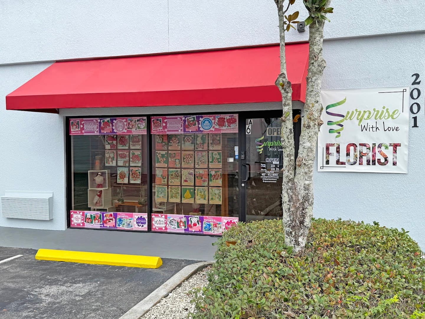 Surprise With Love - Image 1