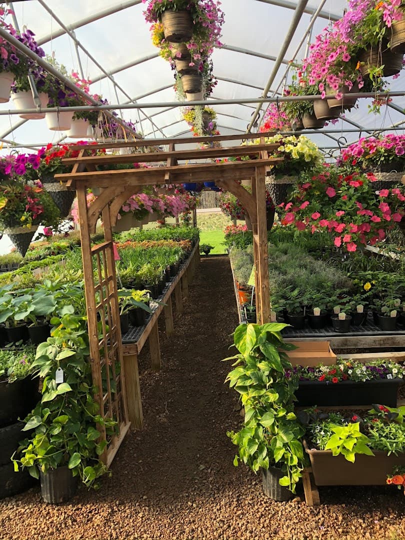 Turn Pike Greenhouse - Image 1