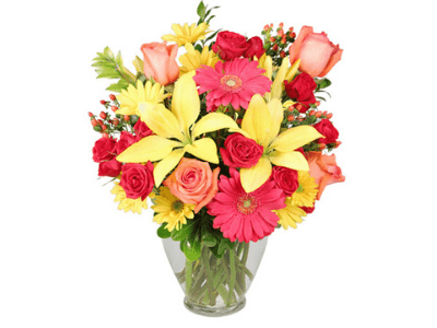 Designs By Barb & James Inc. - Image 1