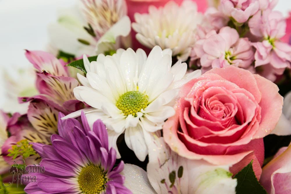 Studio Flora - Image 1