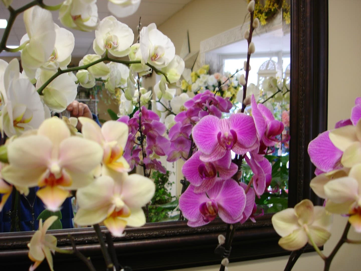 Petal Perfection & Confections - Image 1