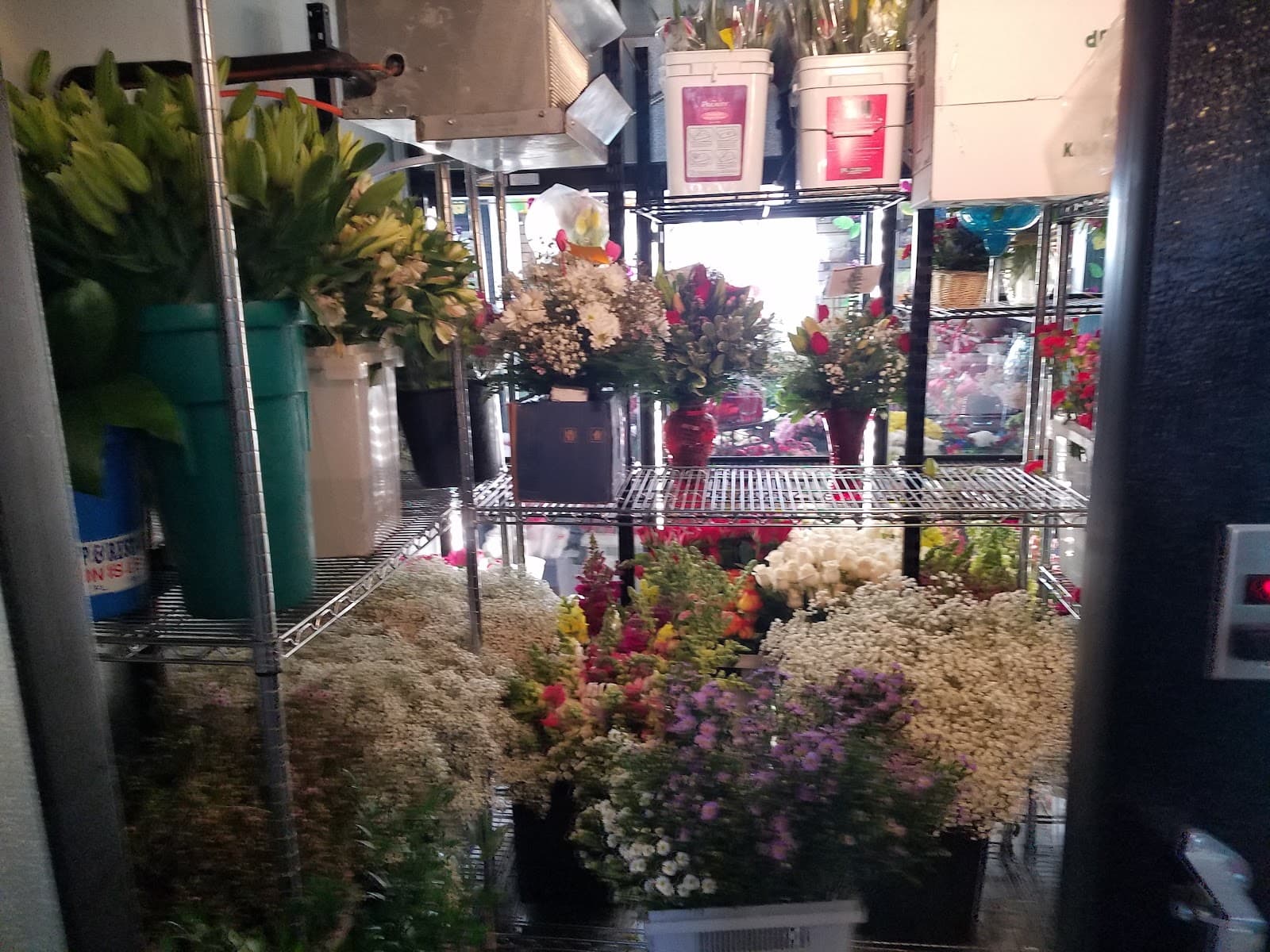 Flower Expressions - Image 1