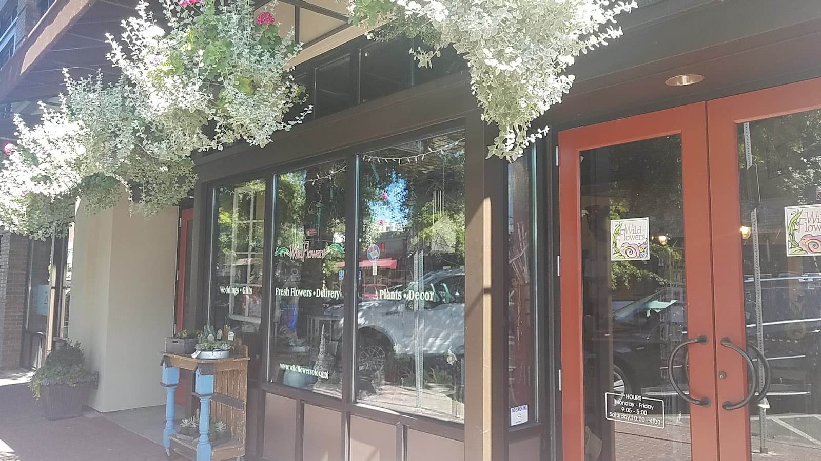 Wild Flowers of Oregon - Image 1