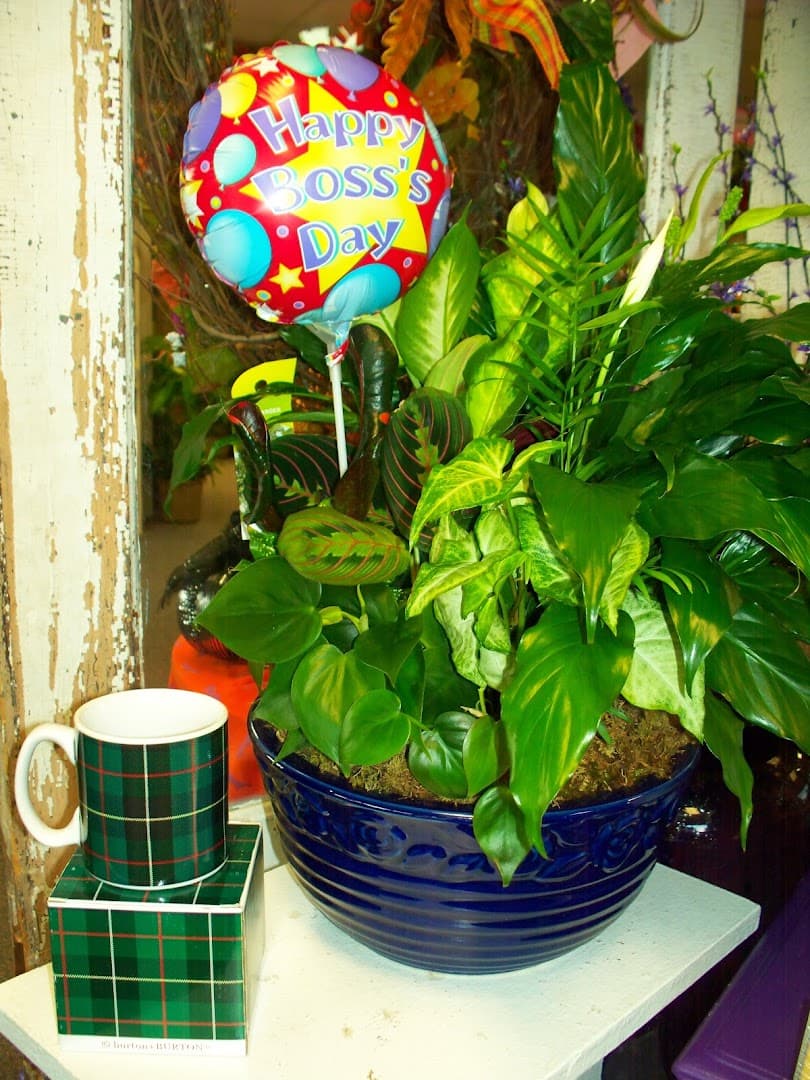 Petals & Plants Florist, Inc - Image 1