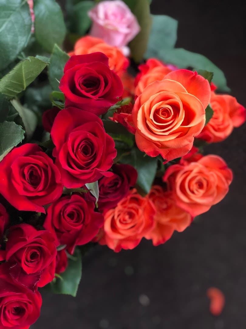 Sunbury Florist - Image 1