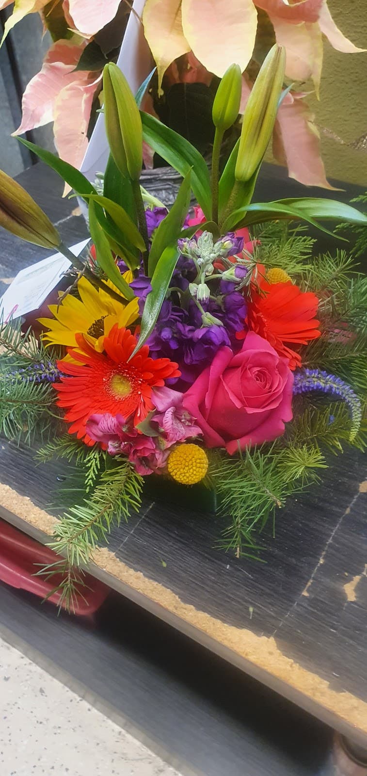 In Full Bloom - Image 1