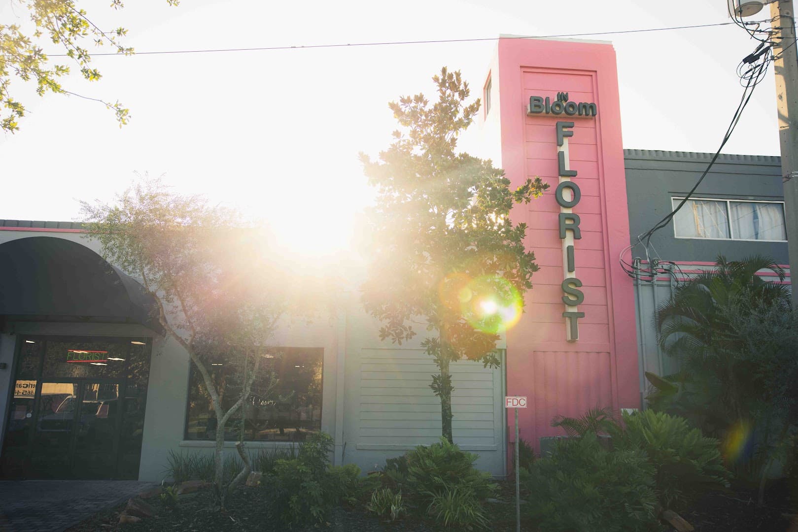 In Bloom Florist - Image 1