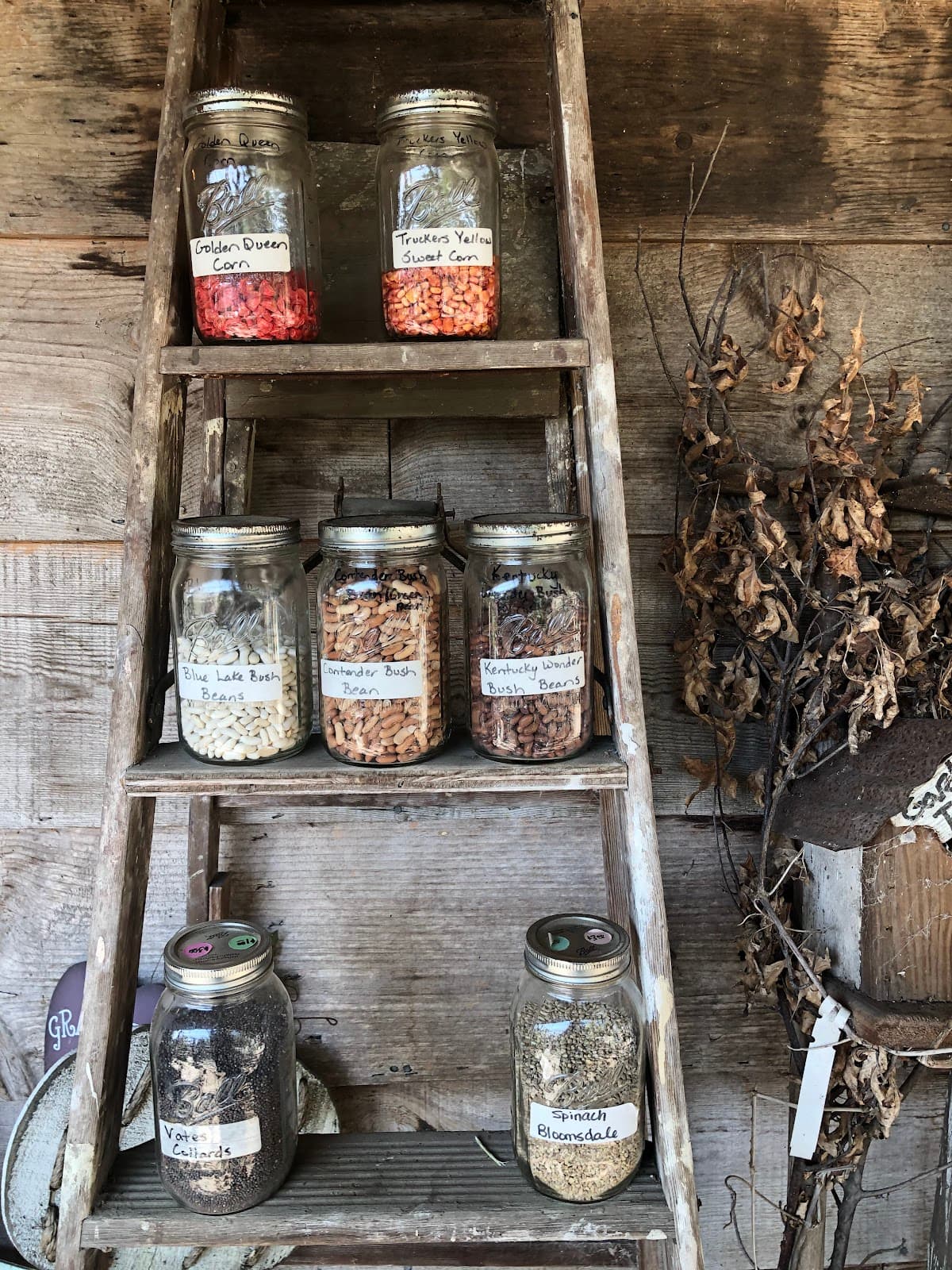 Grandma's House Nursery & Florist - Image 1