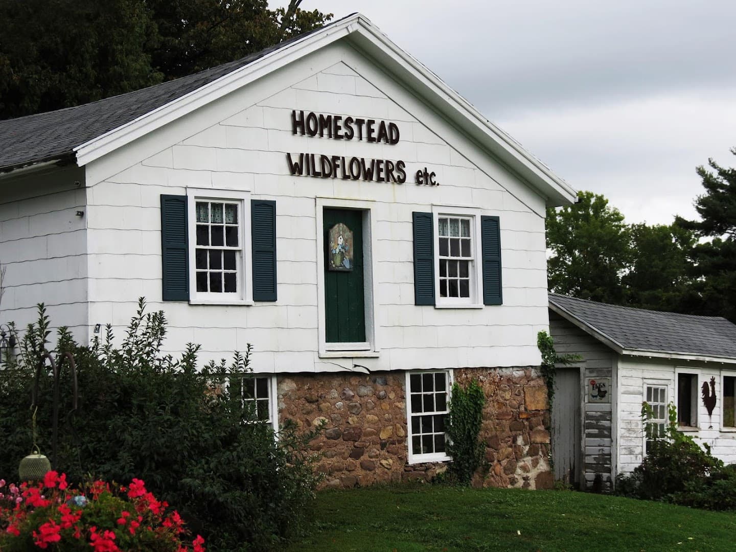 Homestead Wildflowers - Image 1