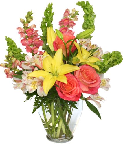 Rose Land Design - Image 1
