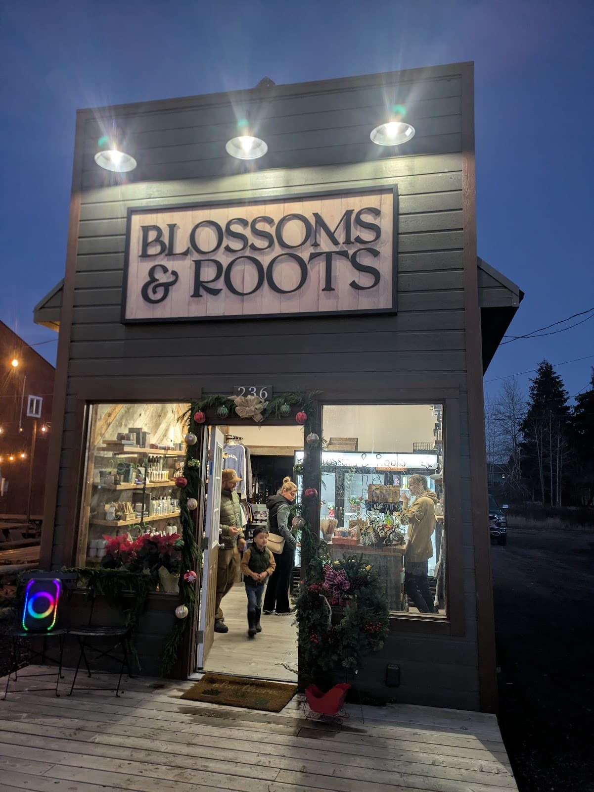 Blossoms & Roots - Image 1