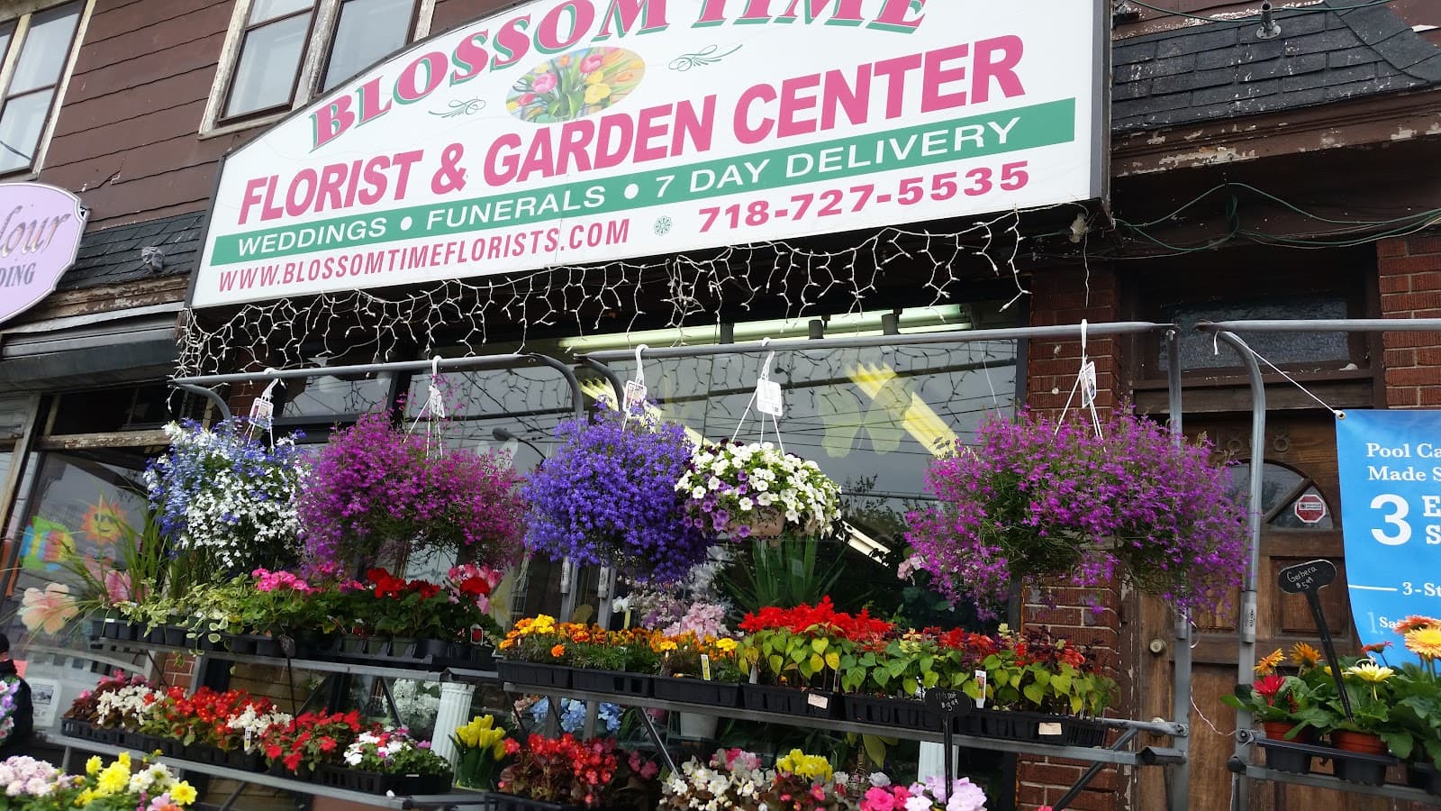 Blossom Time Flowers - Image 1