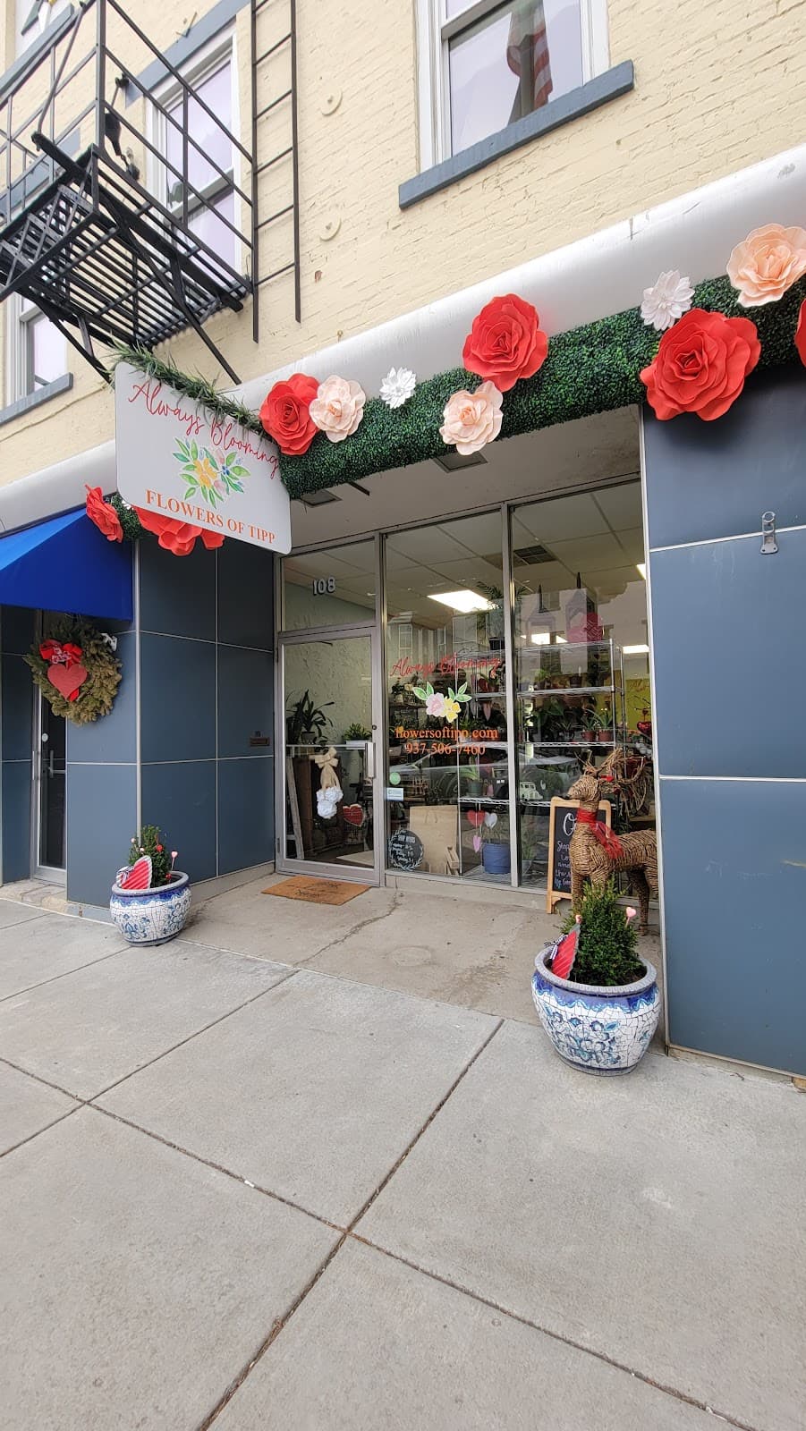 Always Blooming - Image 1