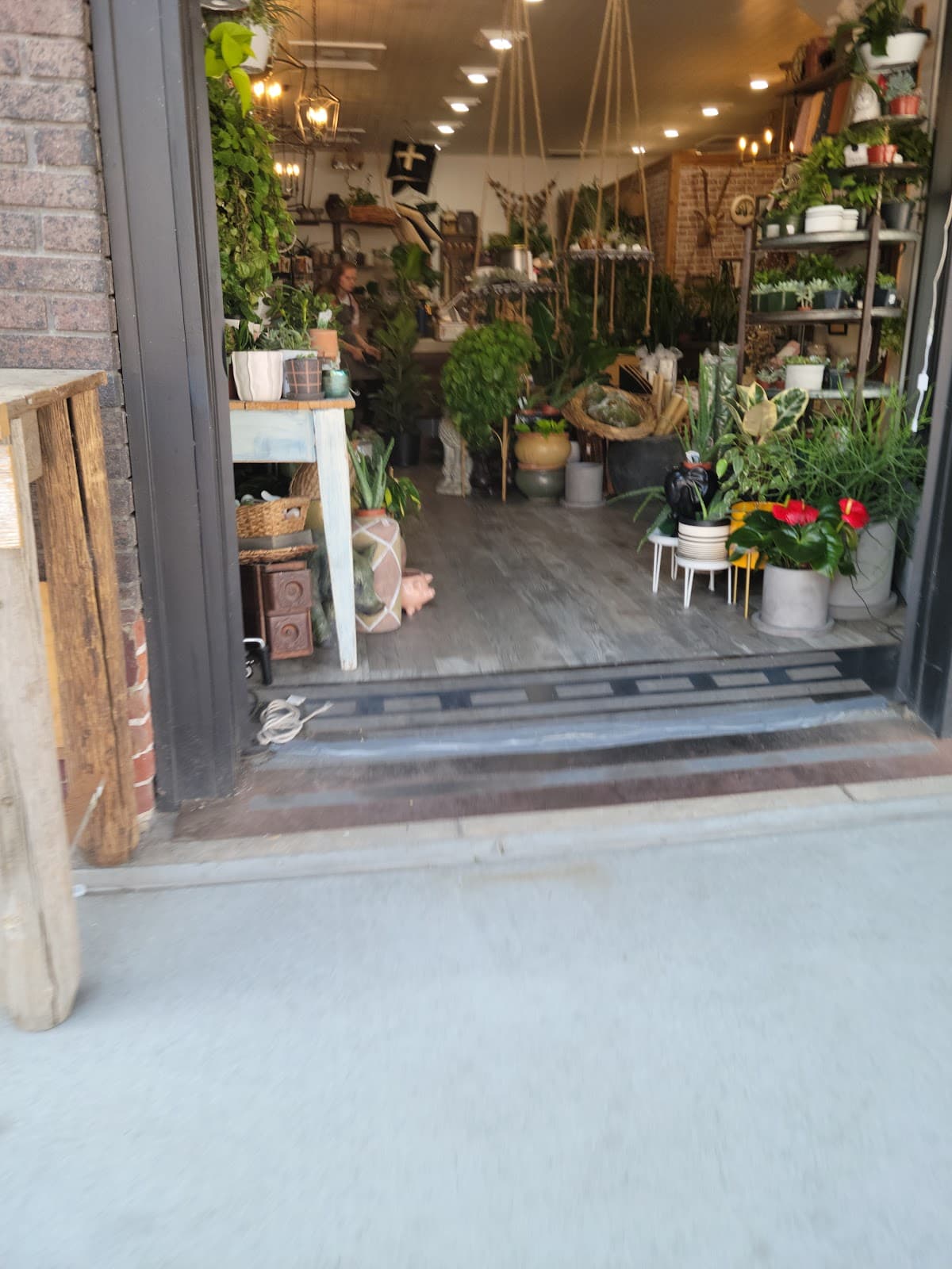 Ruby Bloom - Image 1