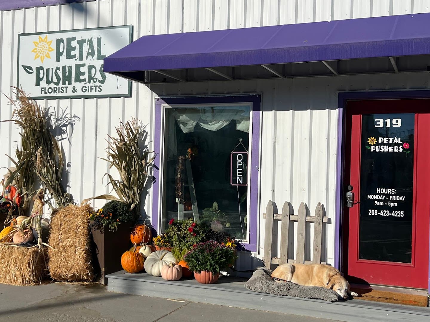 Petal Pushers Florist & Gifts - Image 1