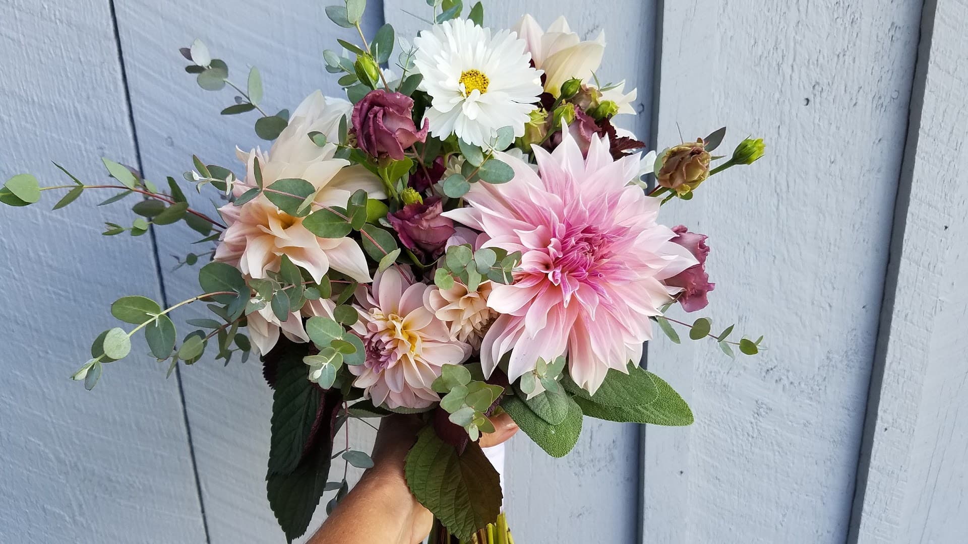 South County Flowers - Image 1