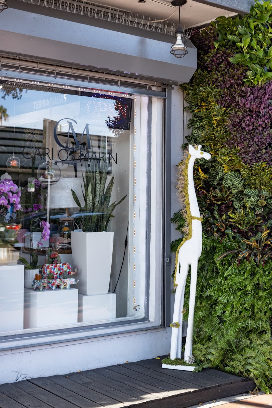 Carlos Marin Designer - Image 1