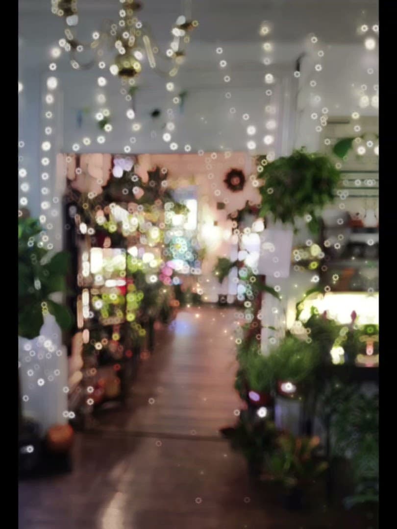 Thea Plant Co. - Image 1