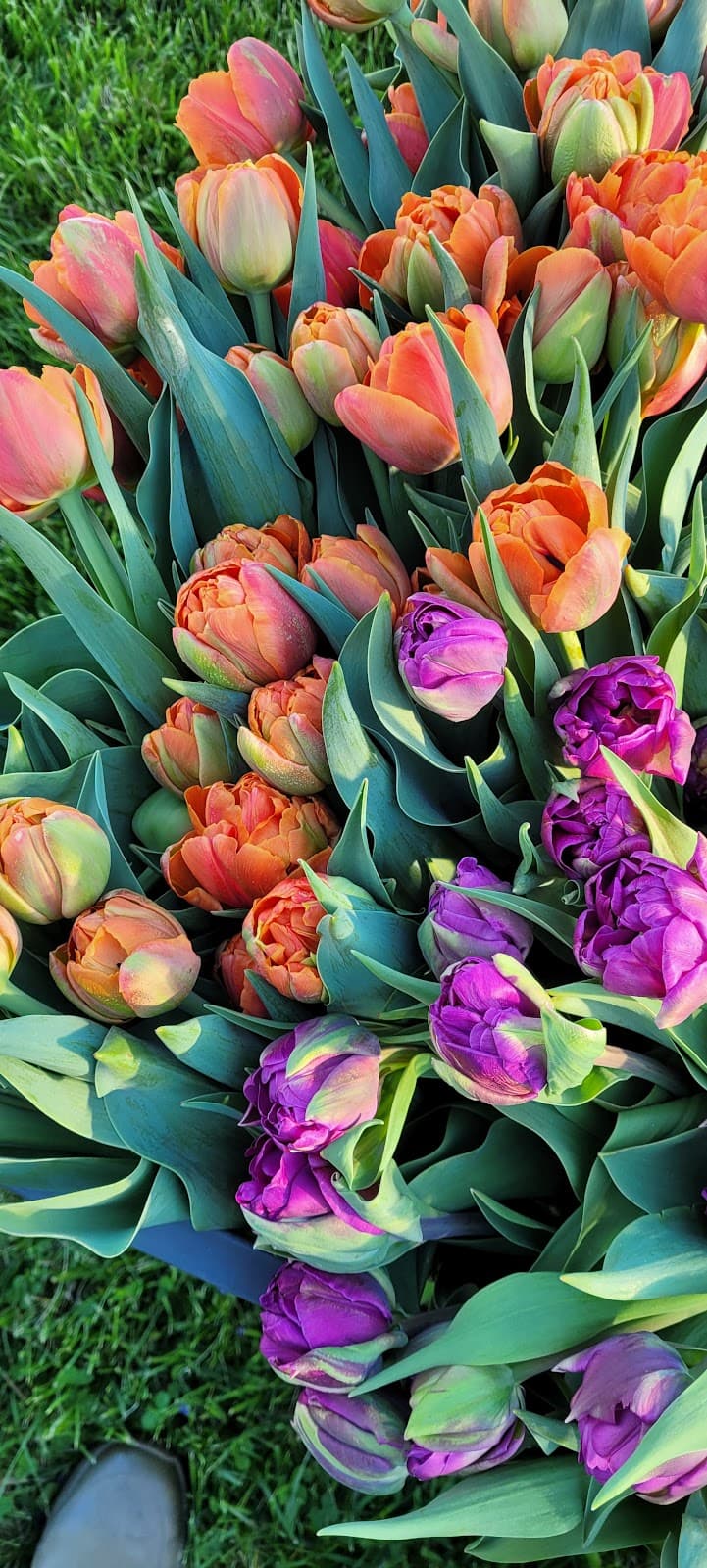 Flygirl Flowers - Image 1