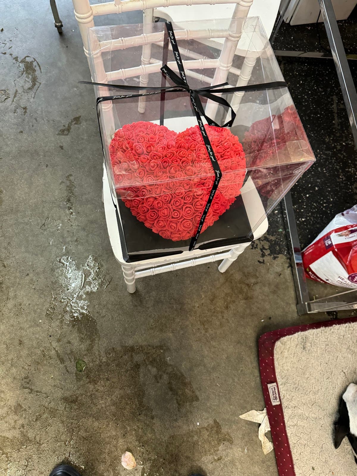 Holy Land Flowers - Image 1