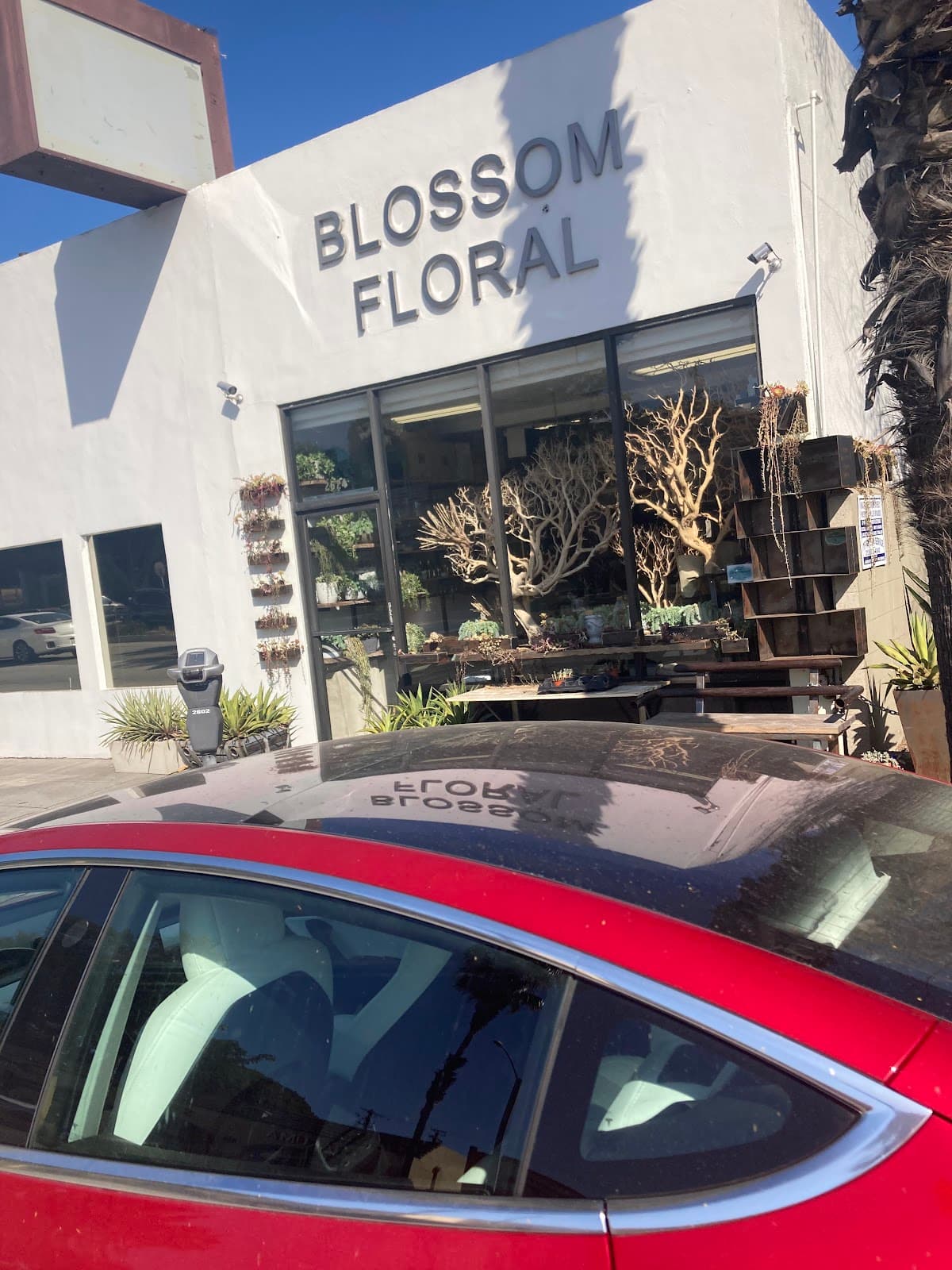 Blossom Floral - Image 1