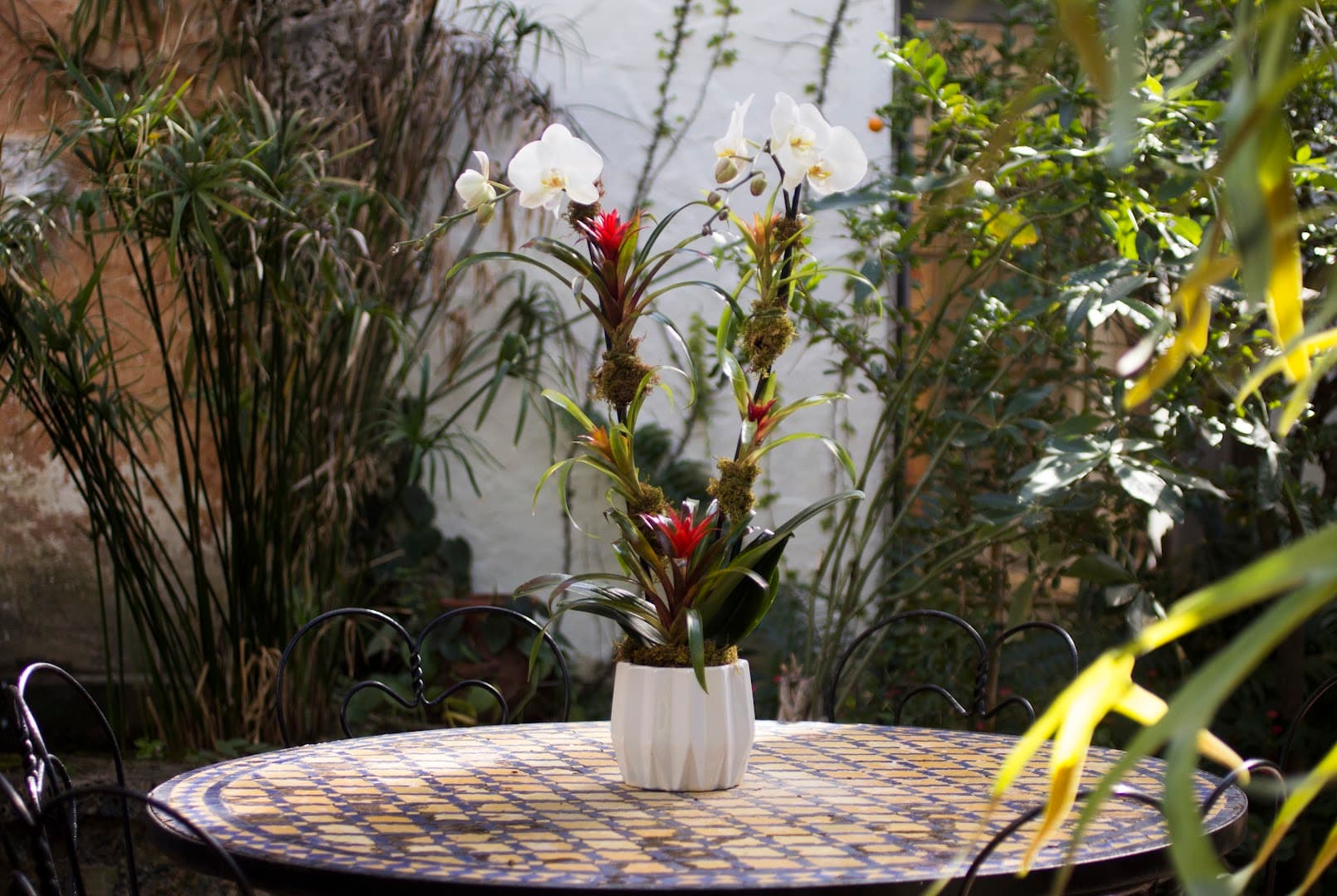 Boutique Orchid - Image 1