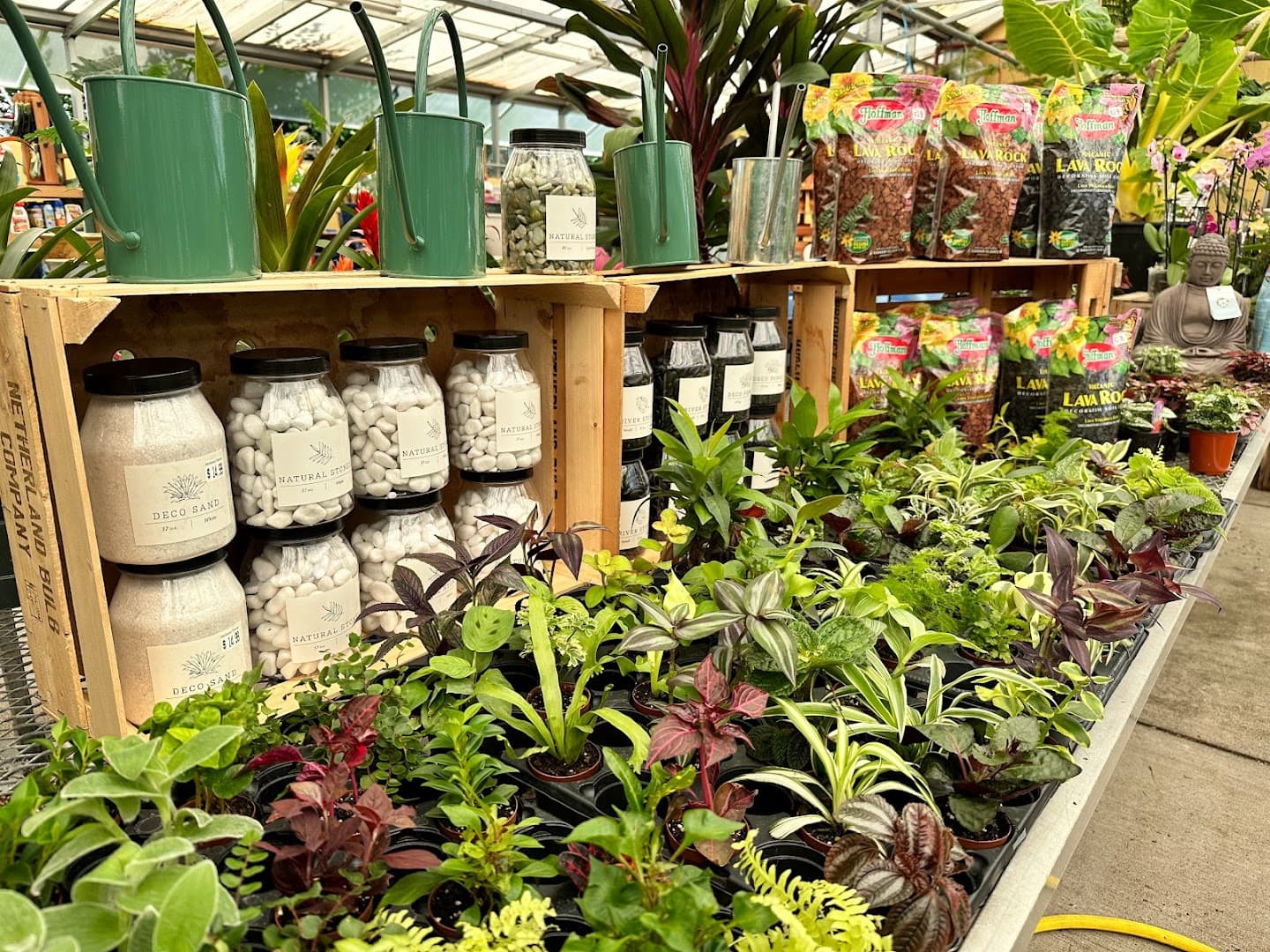 Jackson Florist and Garden Center - Image 1