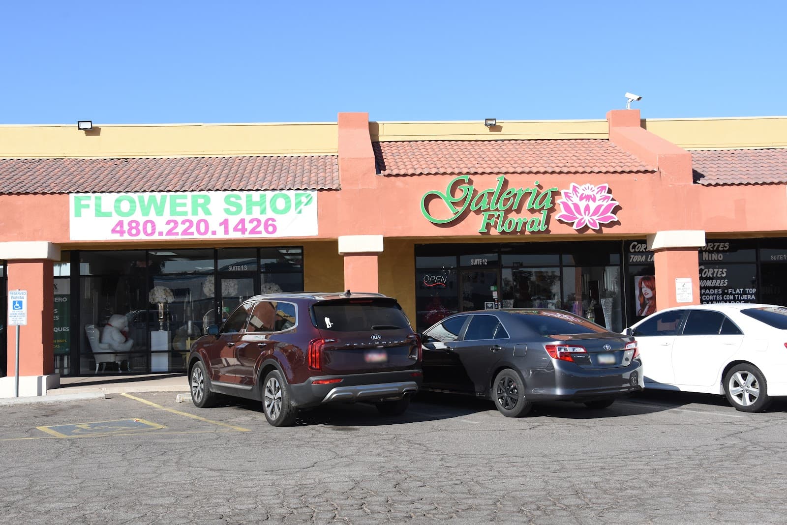 Galeria Floral Arizona - Image 1