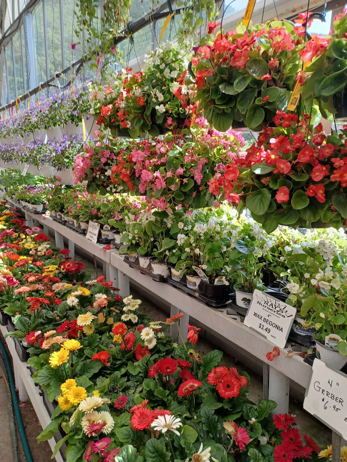 Ray's Nurseries - Image 1