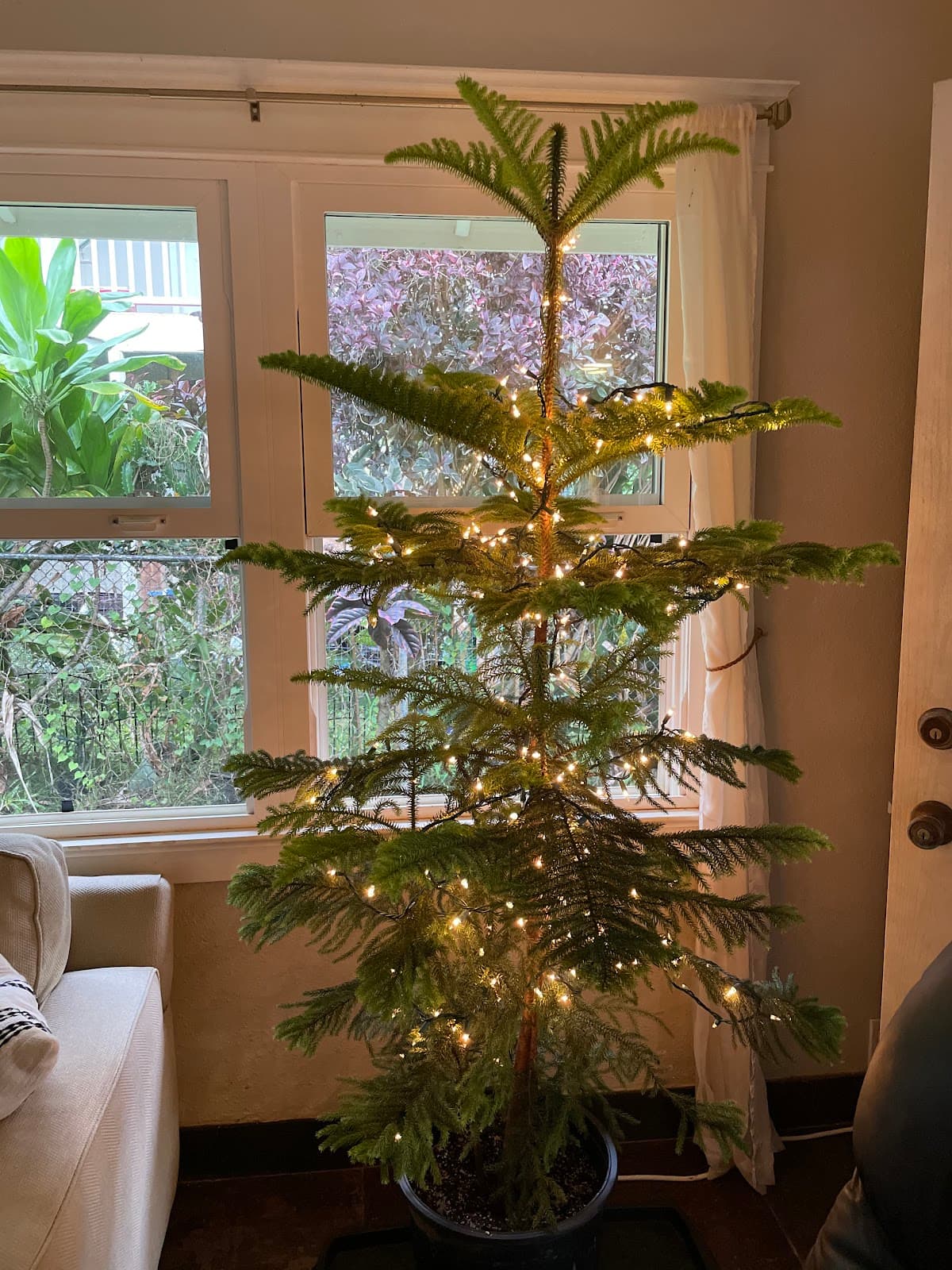 Makaleha Nursery LLC - Image 1