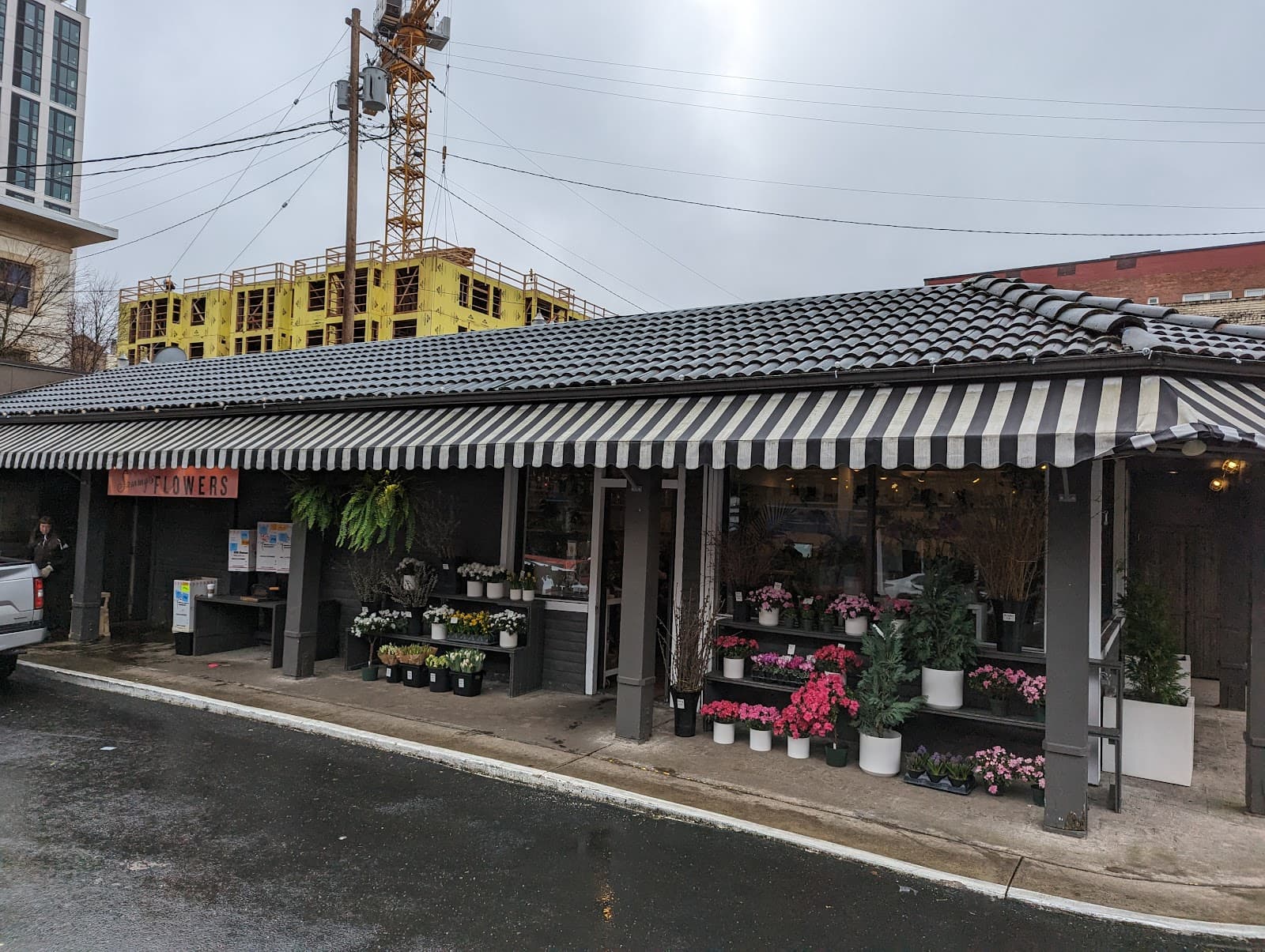 Sammy's Flowers - Image 1