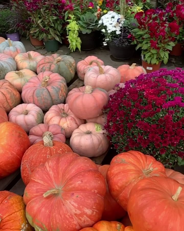 Michael's Garden Gate Nursery - Image 1