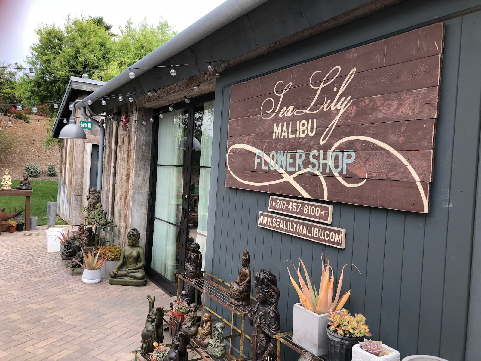 Sea Lily Malibu - Image 1