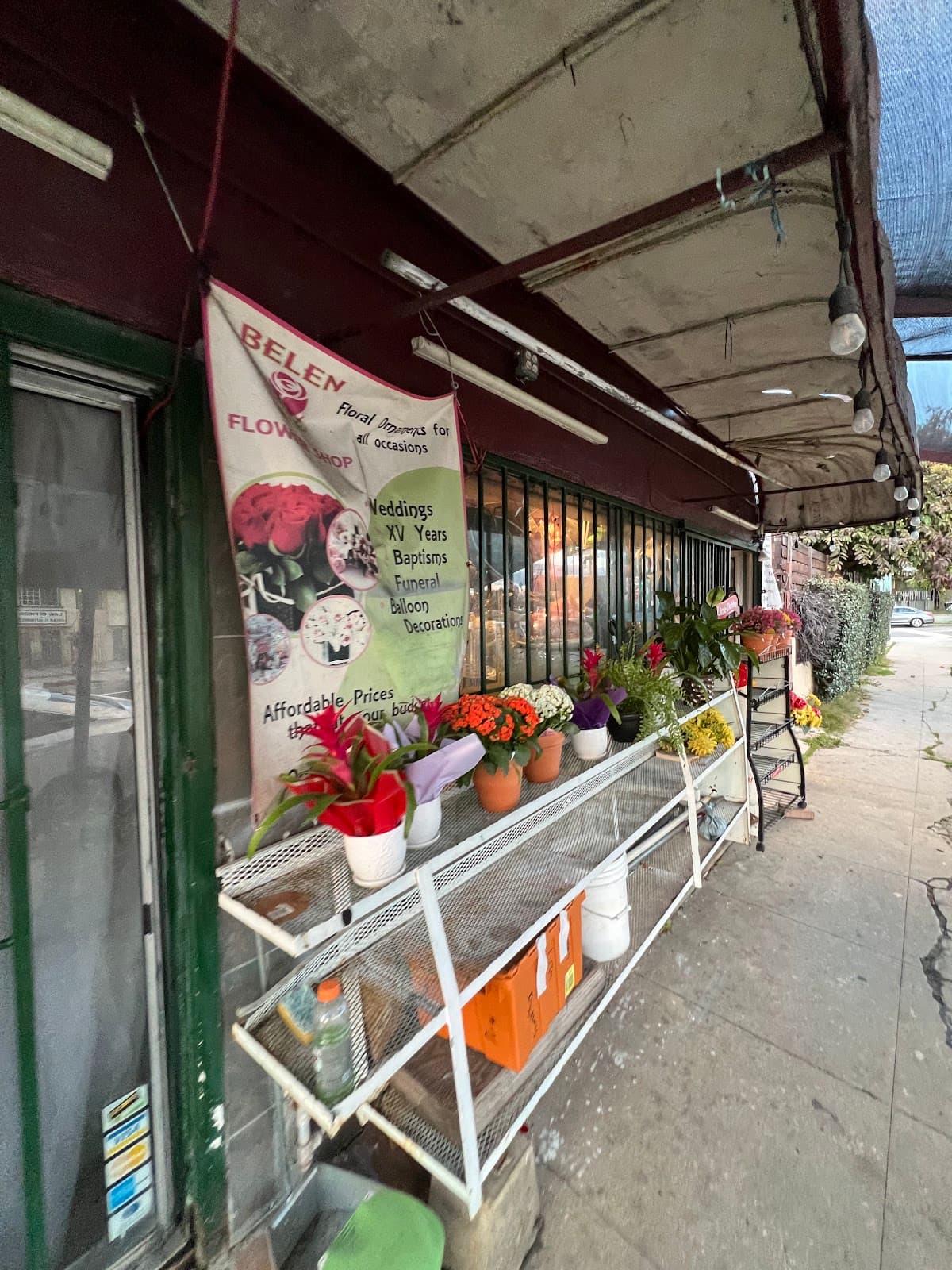 Belen Flowers - Image 1