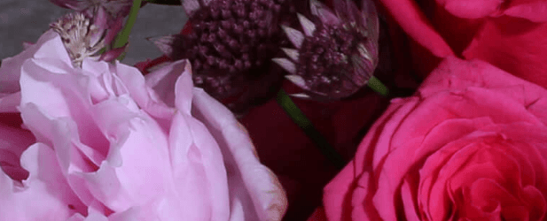 Creative Florals of Charleston - Image 1