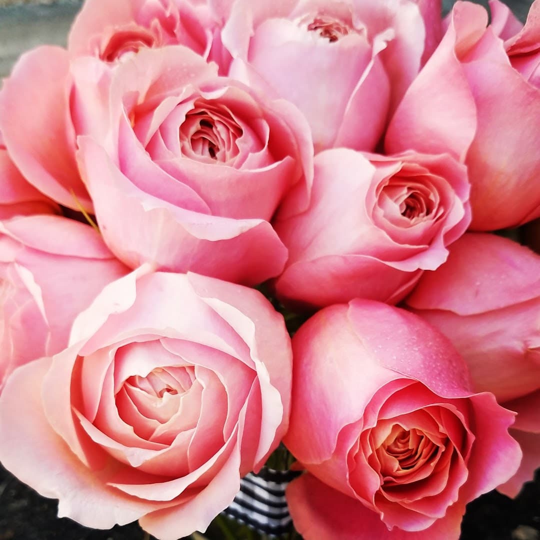 Aime Peterson Flowers and Event Design - Image 1