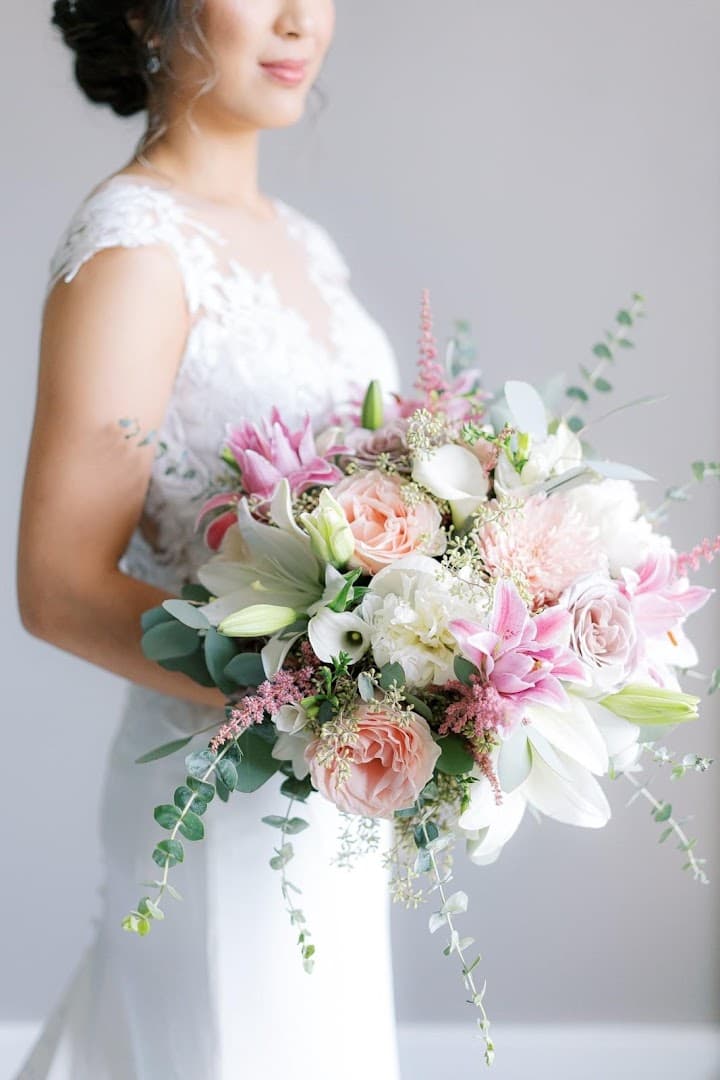 Nova Blooms - Image 1