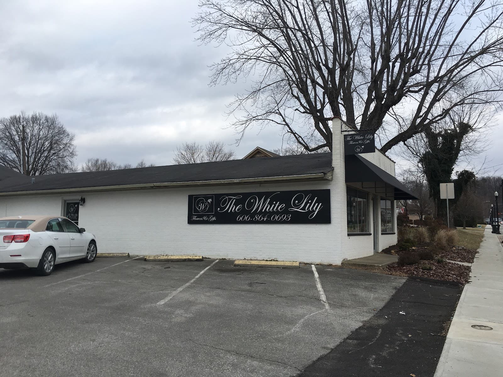 The White Lily Florals & Christmas on Dixie - Image 1