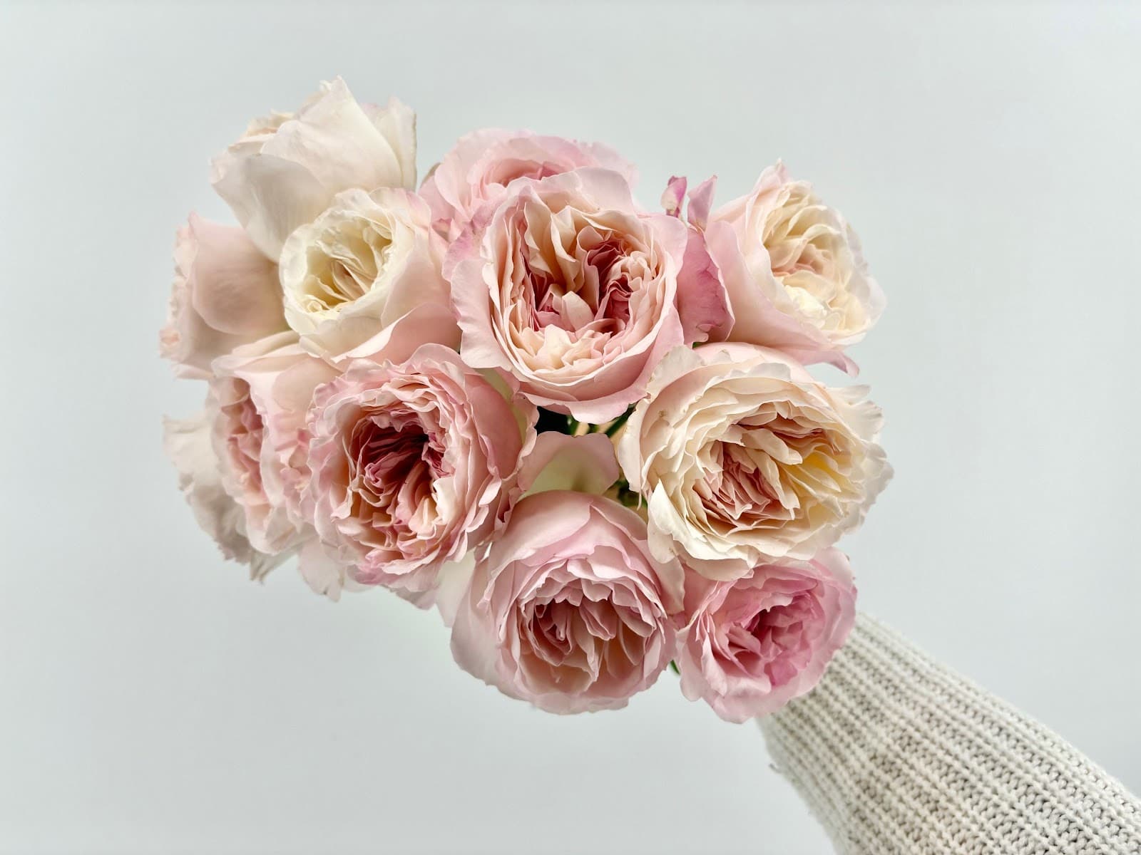 Fall River Florist Supply Co - Image 1