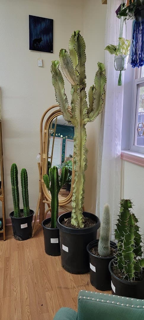 Blossoming Boutique - Image 1