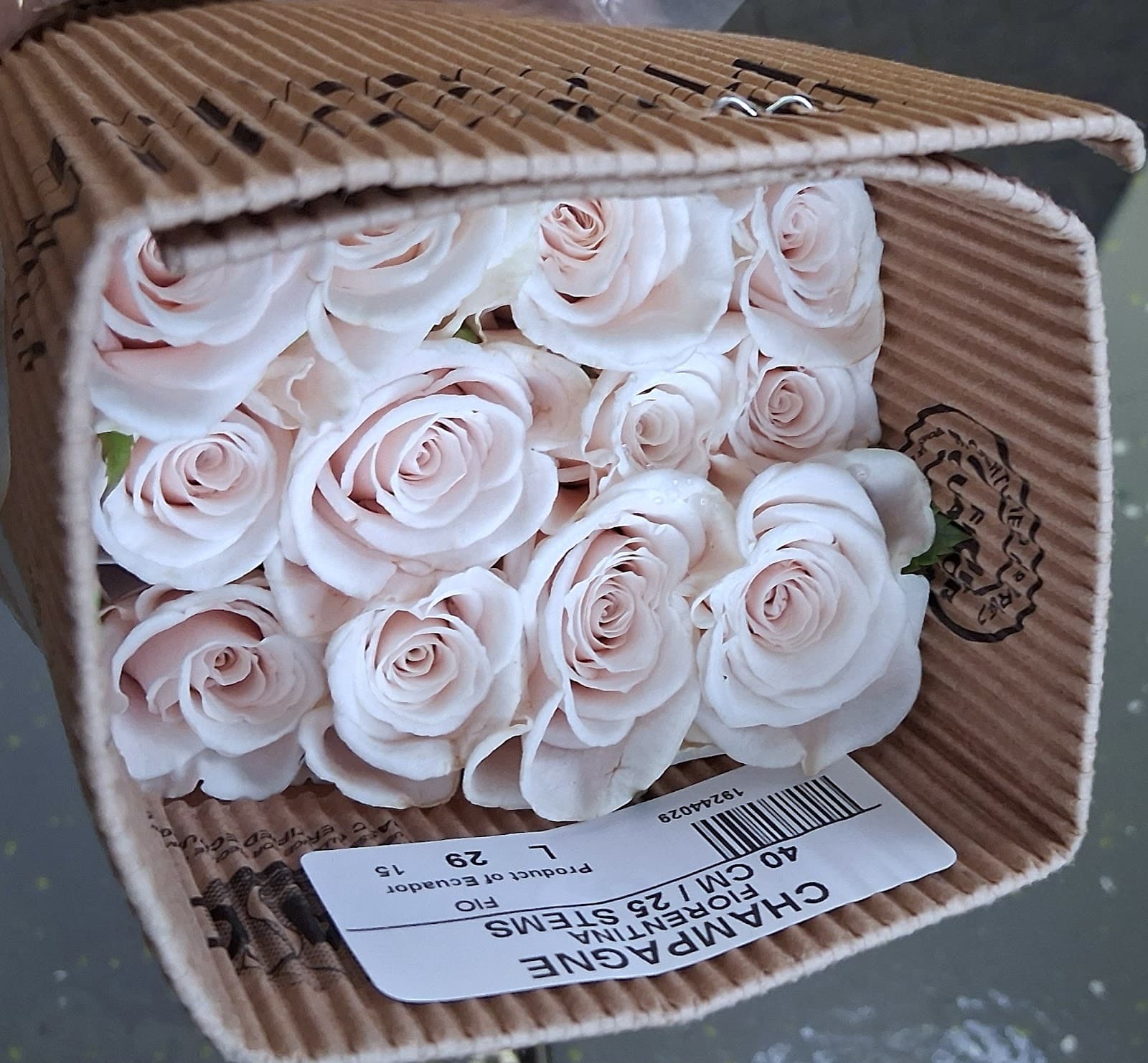 DWF Flint Wholesale Florist - Image 1