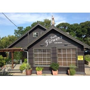 Ben White Florist - Image 1