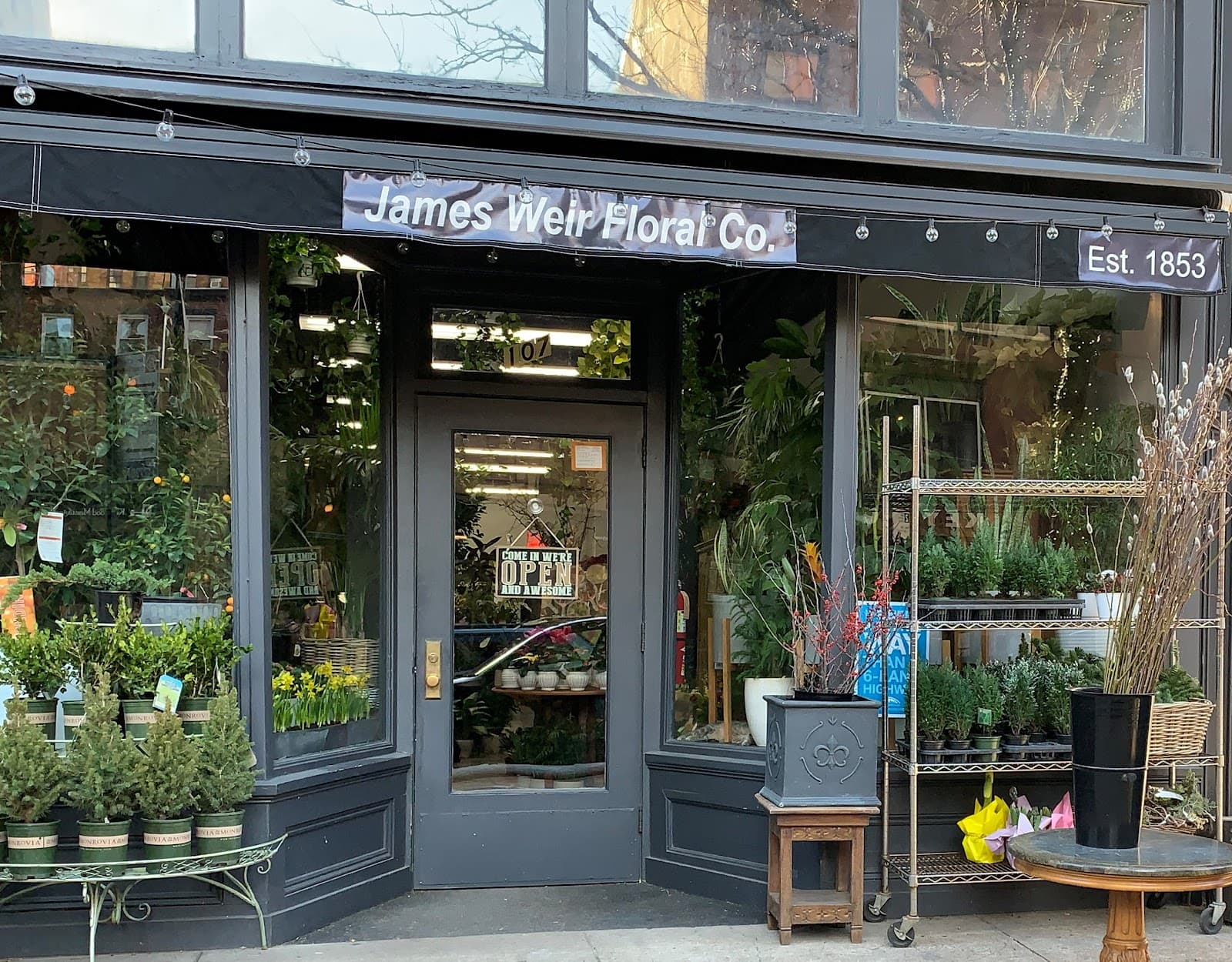 James Weir Floral Co - Image 1