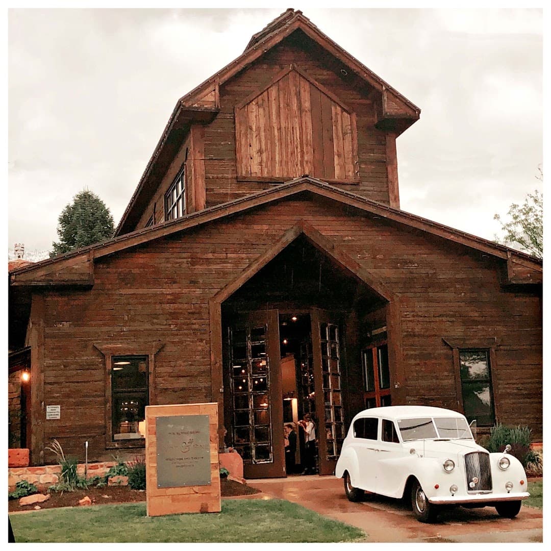 Knot and Pine - Image 1