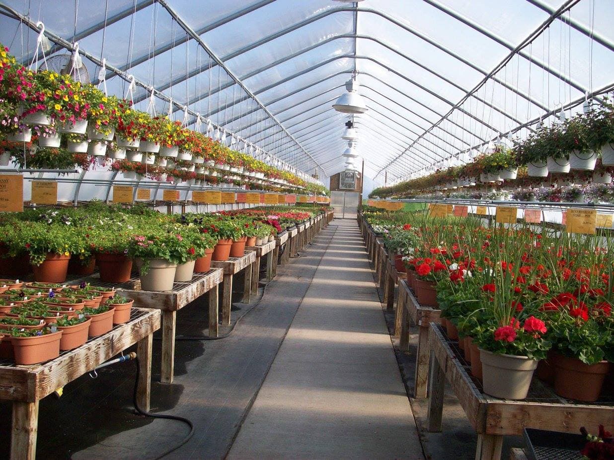 Hanson's Greenhouse & Floral - Image 1