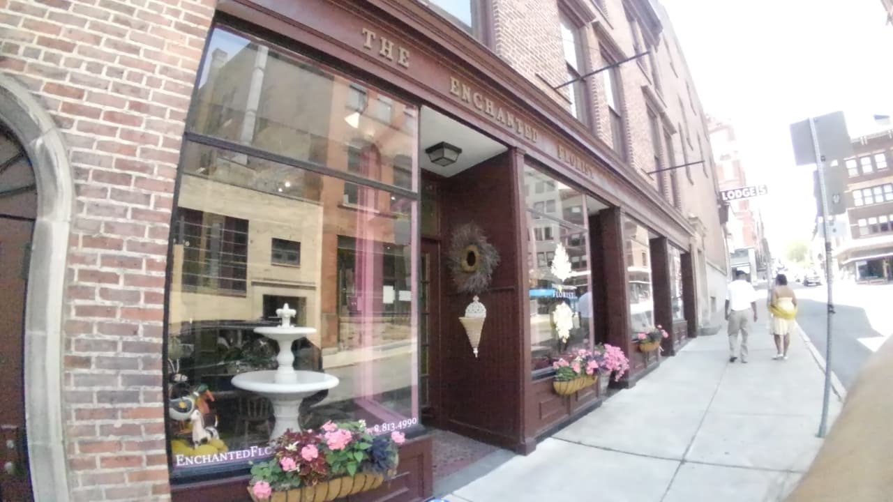 The Enchanted Florist of Albany - Image 1