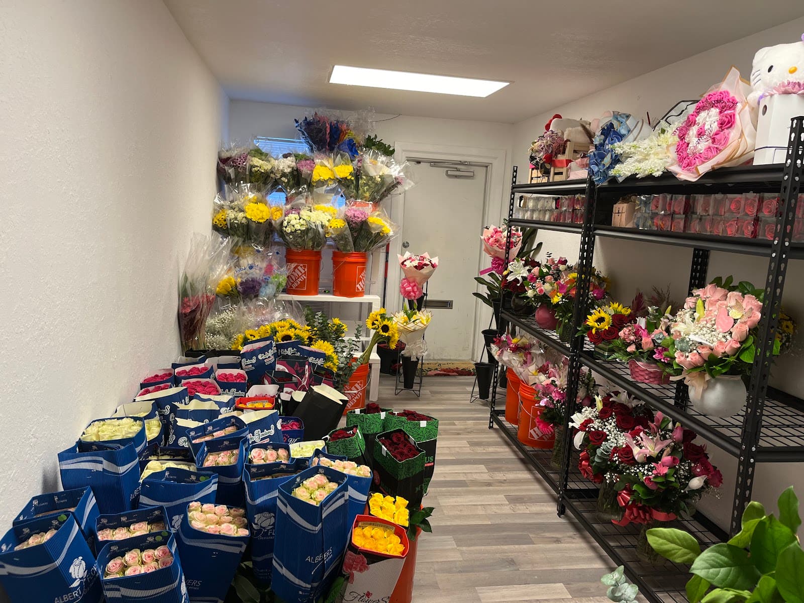 Amaya Blossoms - Image 1