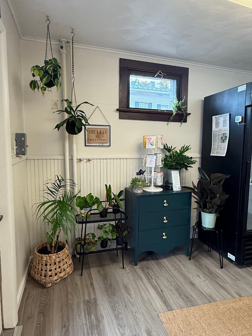 The Petal Parcel - Image 1